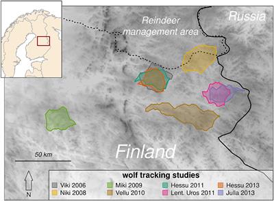 Spatial Memory Drives Foraging Strategies of Wolves, but in Highly Individual Ways